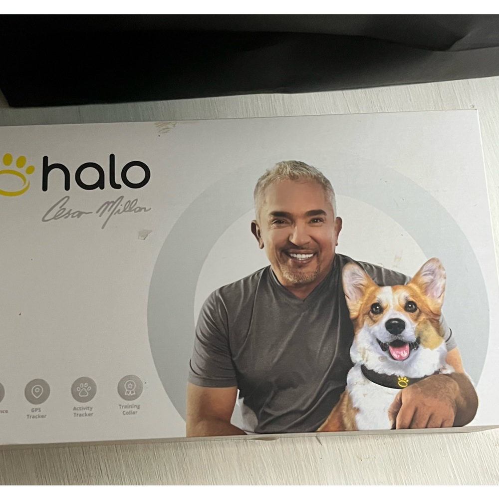never used white large Halo collar. $700 new. Only opened box for photos
